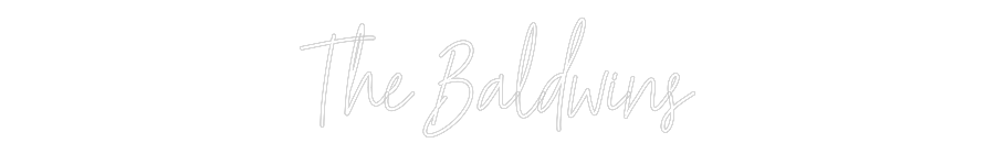 Custom Neon Text- The Baldwins