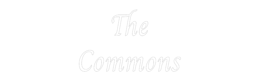 Custom Neon Text - The
Commons