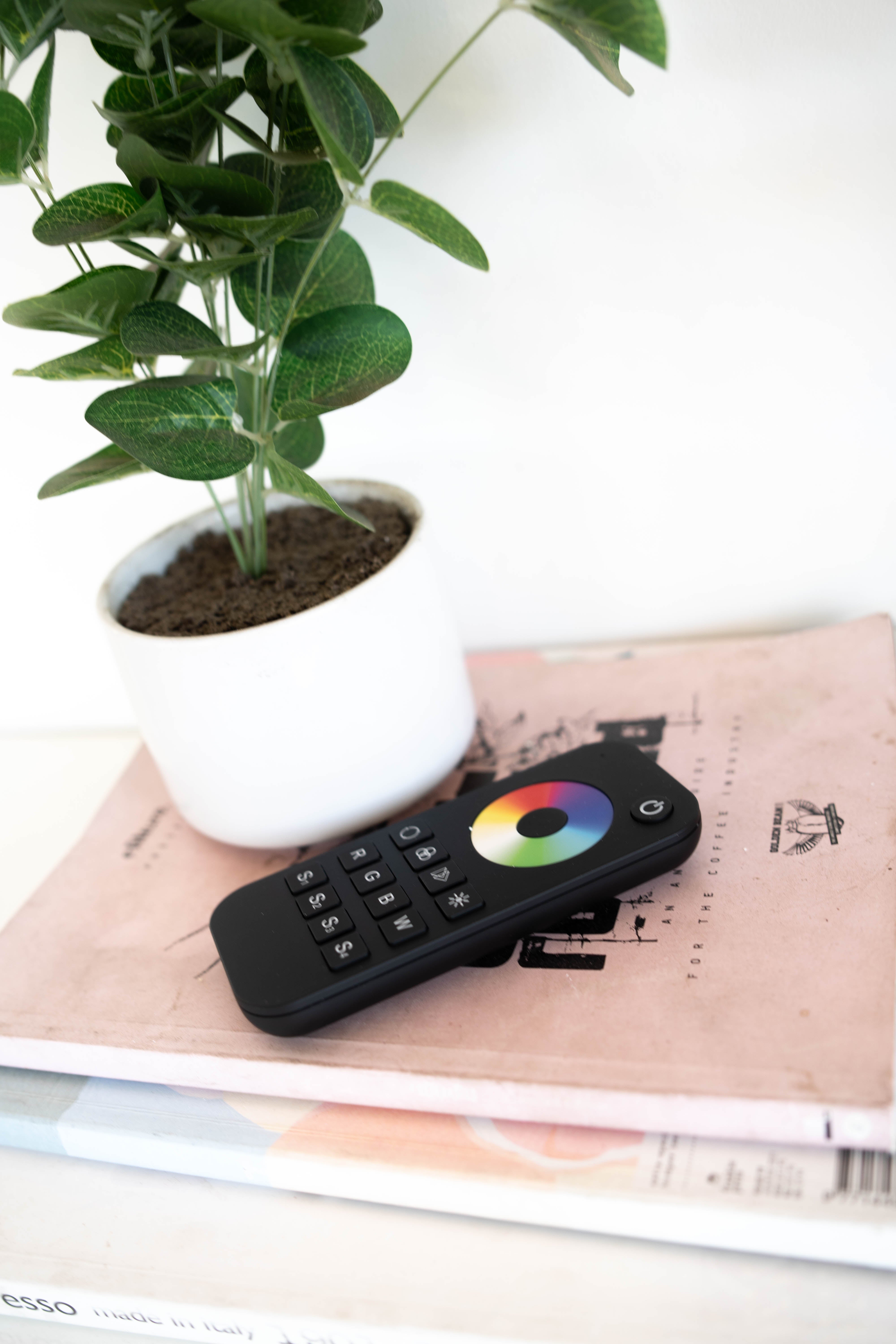 RT4 Pro Series Touch Wheel Remote Dimmer, 1 Zone (RGB Only)