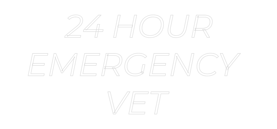 Custom Neon Text- 24 HOUR
EMER...