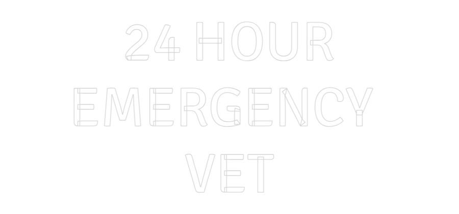 Custom Neon Text- 24 HOUR
EMER...