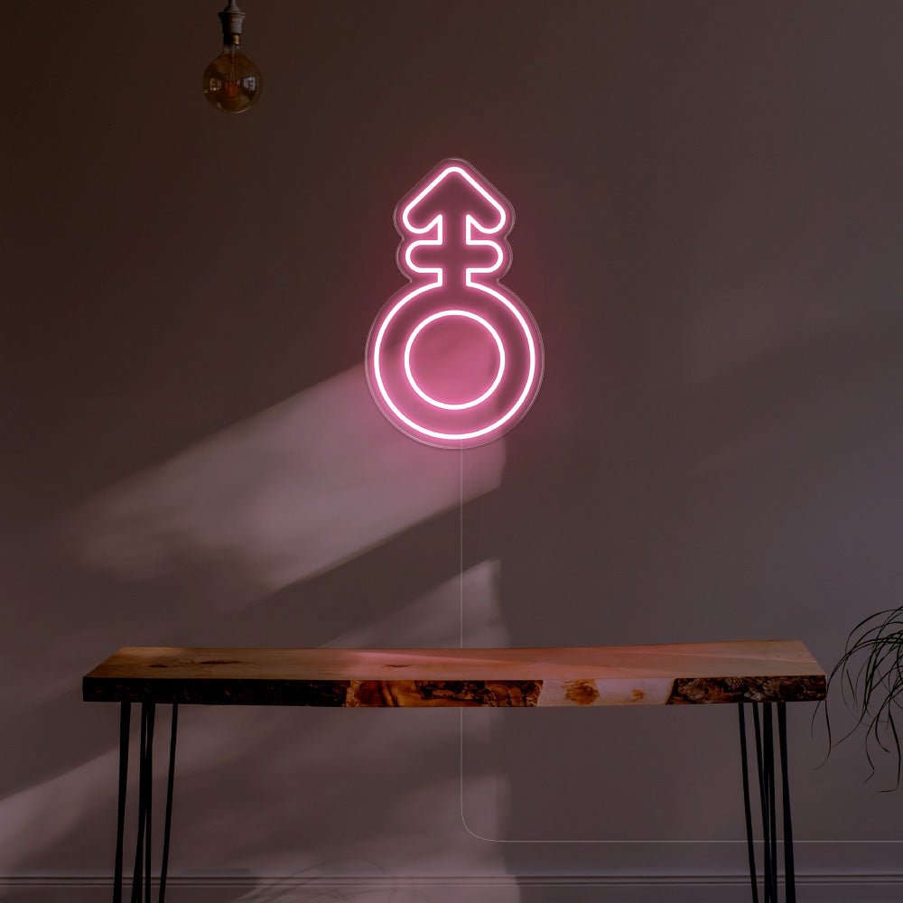 Androgyne LED Neon Sign