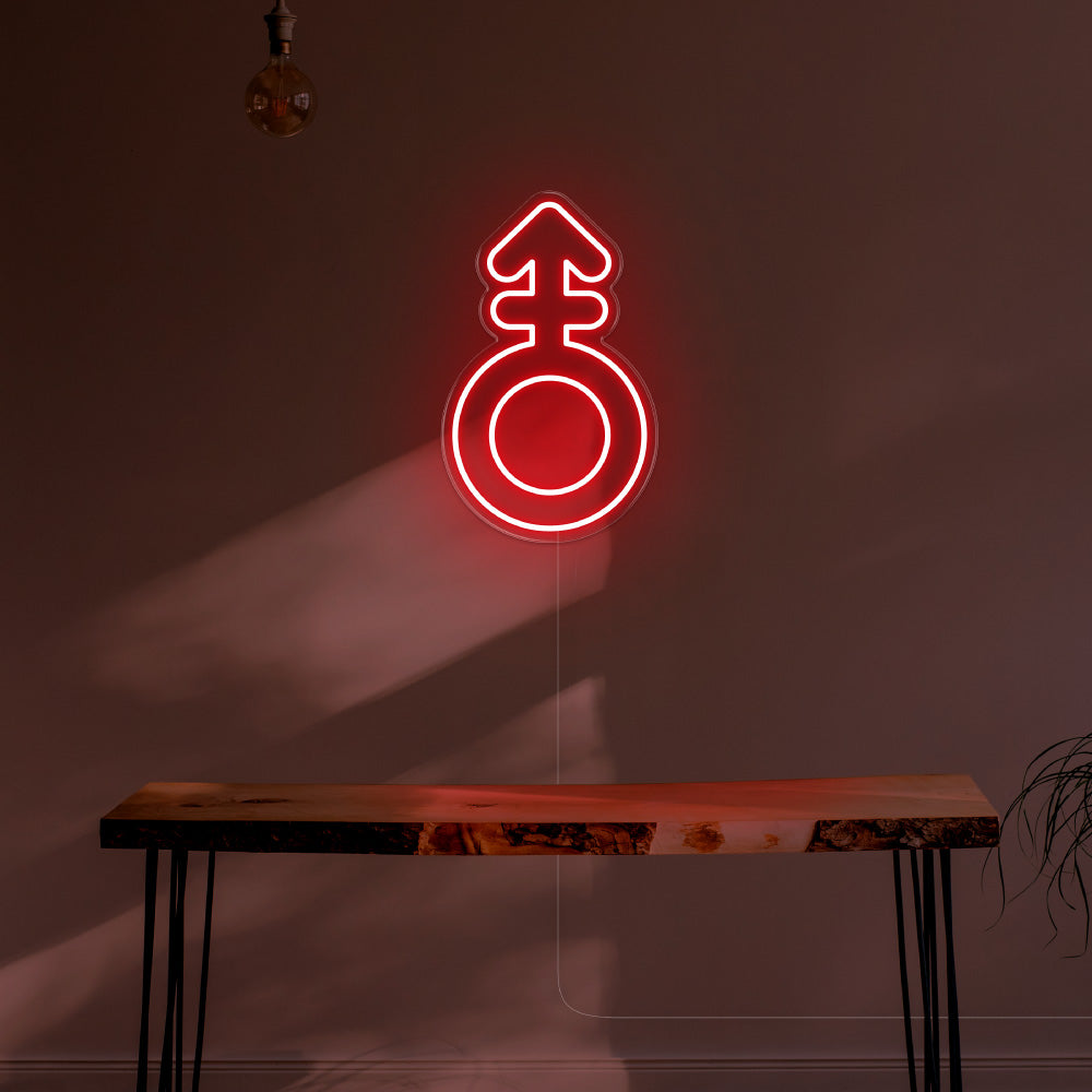 Androgyne LED Neon Sign